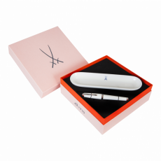 WRITINGS INSTRUMENTS FOUNTAIN PEN SET