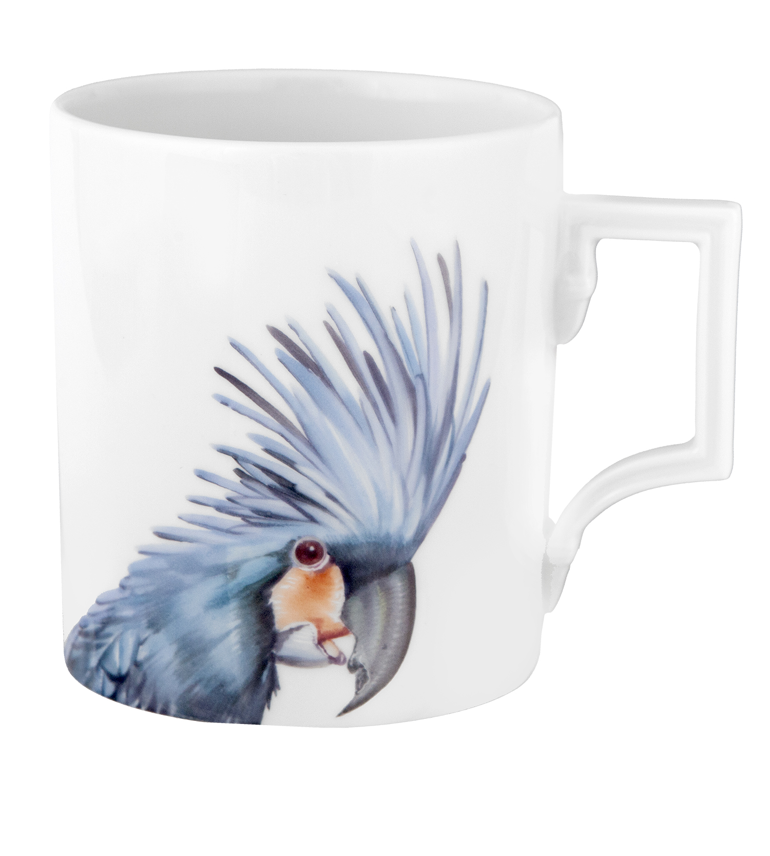 Tropic Bird 트로픽 버드