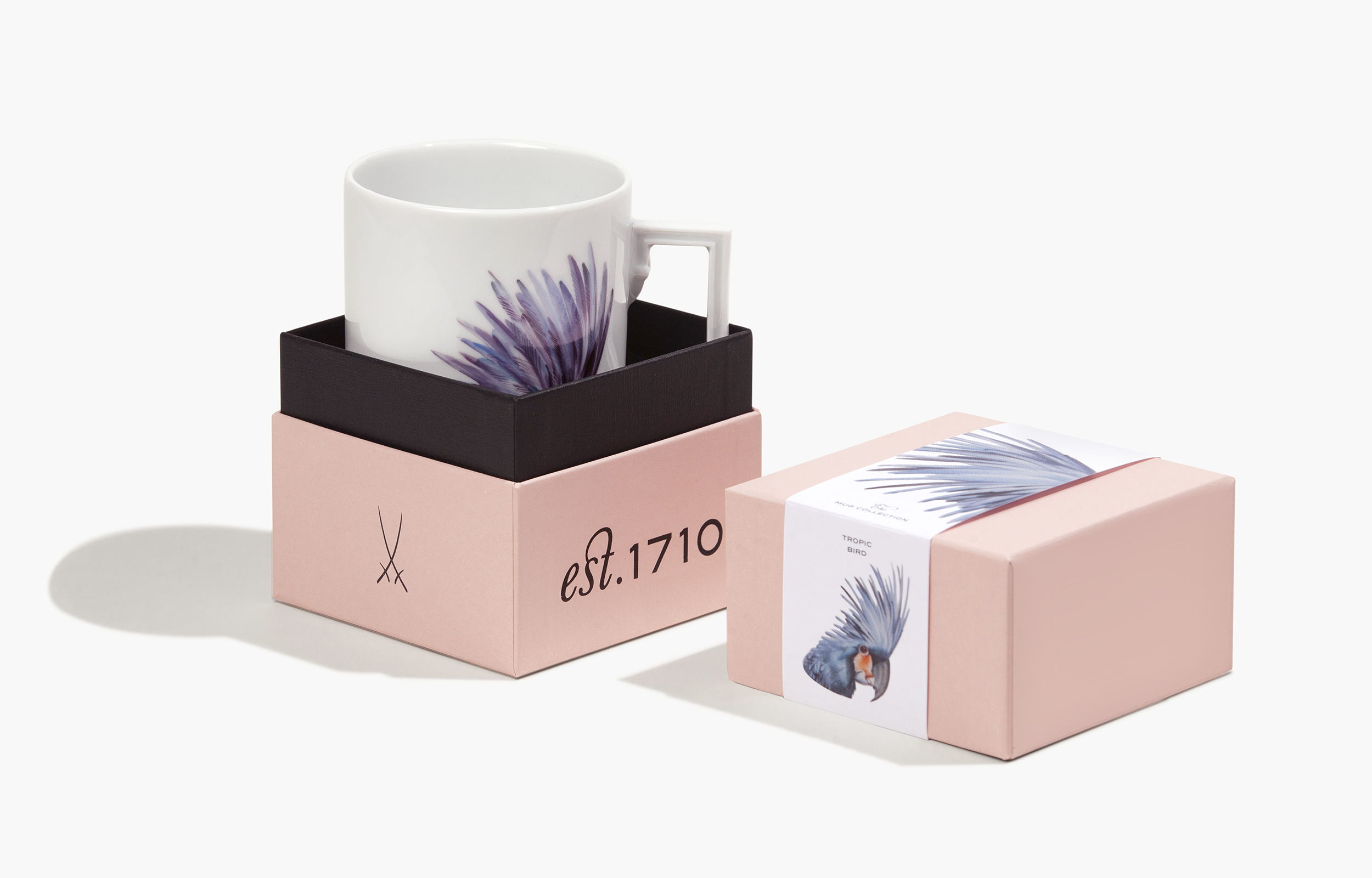 Tropic Bird 트로픽 버드