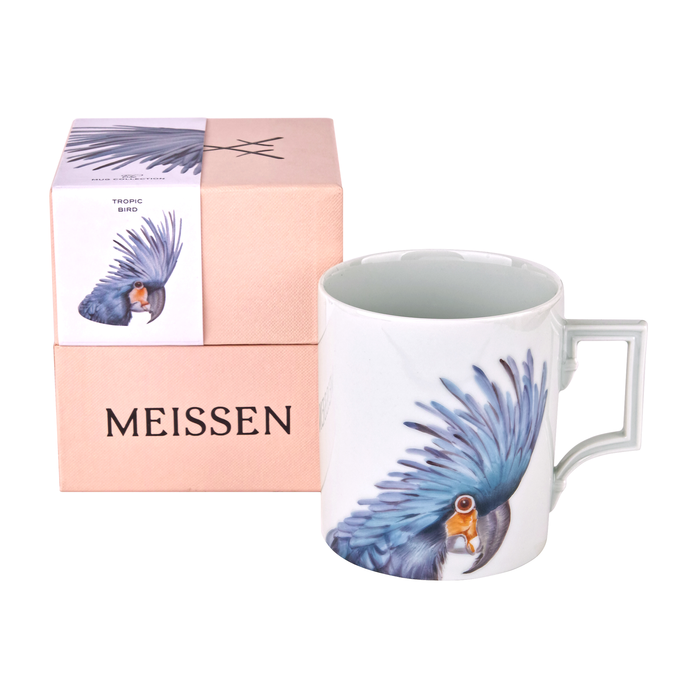 Tropic Bird 트로픽 버드