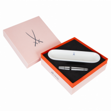 WRITINGS INSTRUMENTS FOUNTAIN PEN SET