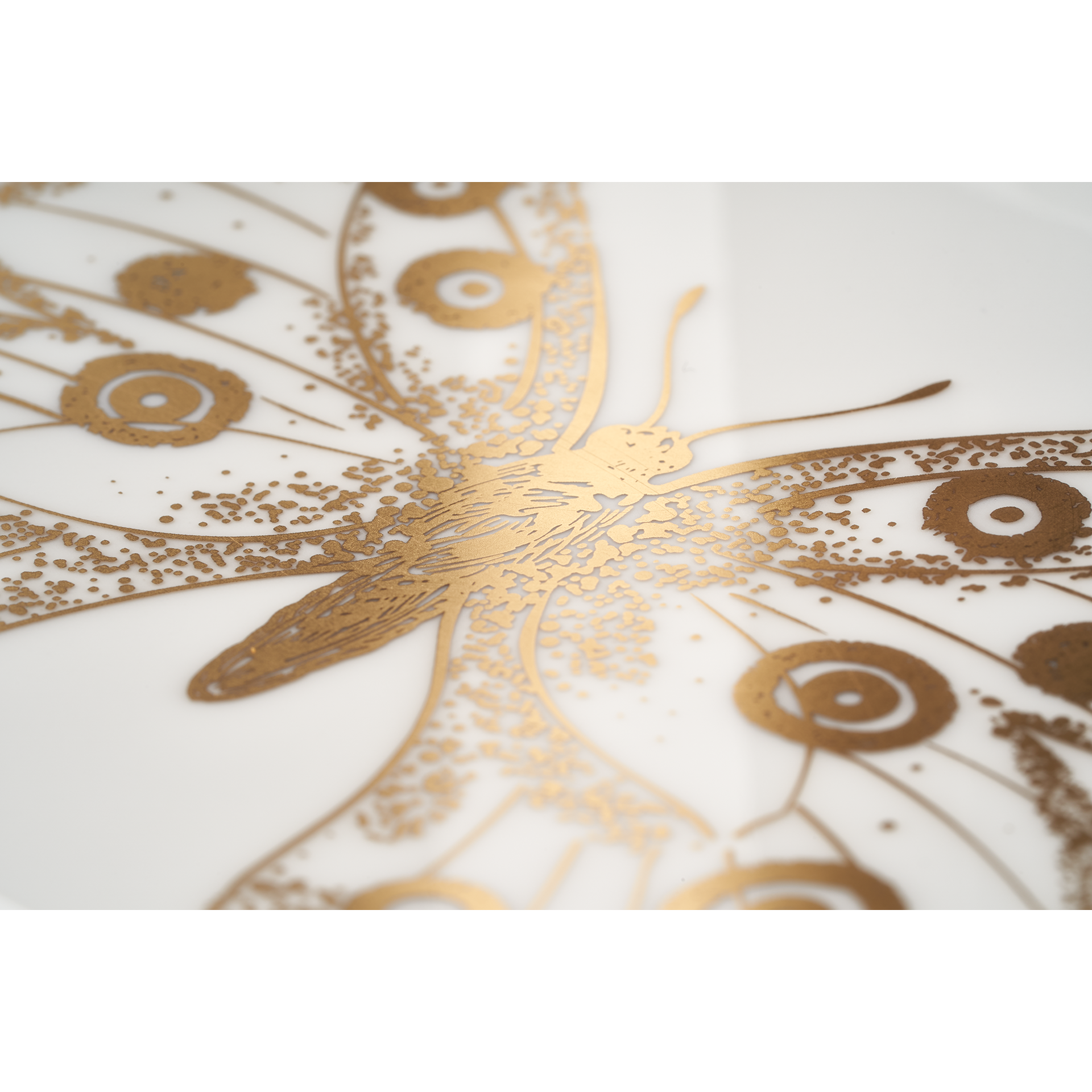 THE MEISSEN VIDE-POCHE COLLECTION VIDE-POCHE FLYING WONDERS