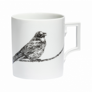 SWALLOW 스왈로우