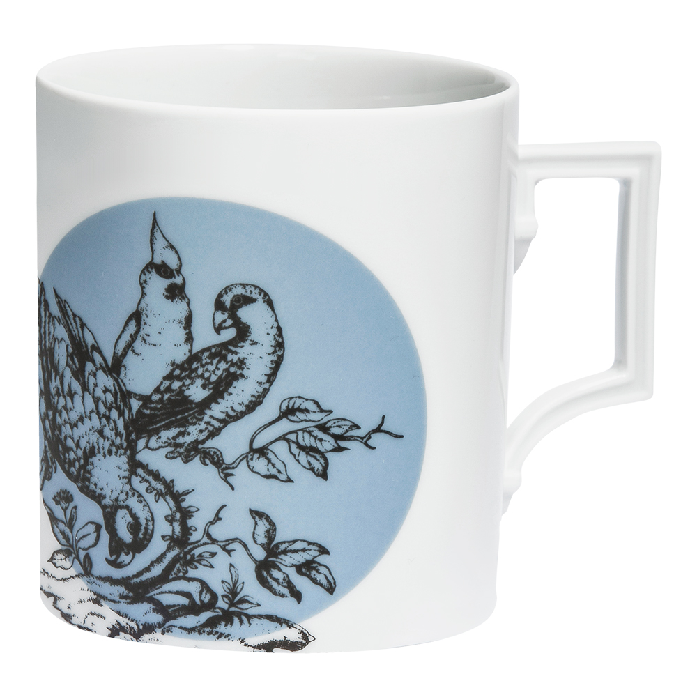 Terrace Birds 테라스 버드