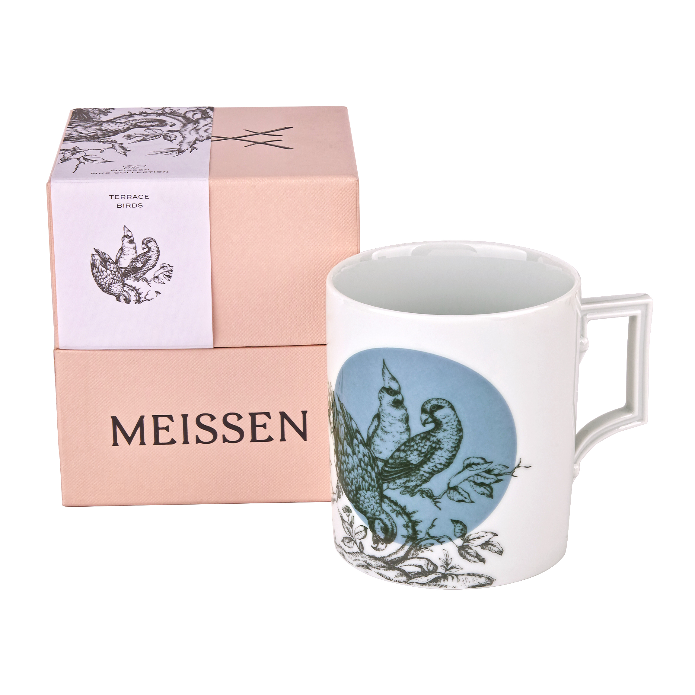 Terrace Birds 테라스 버드