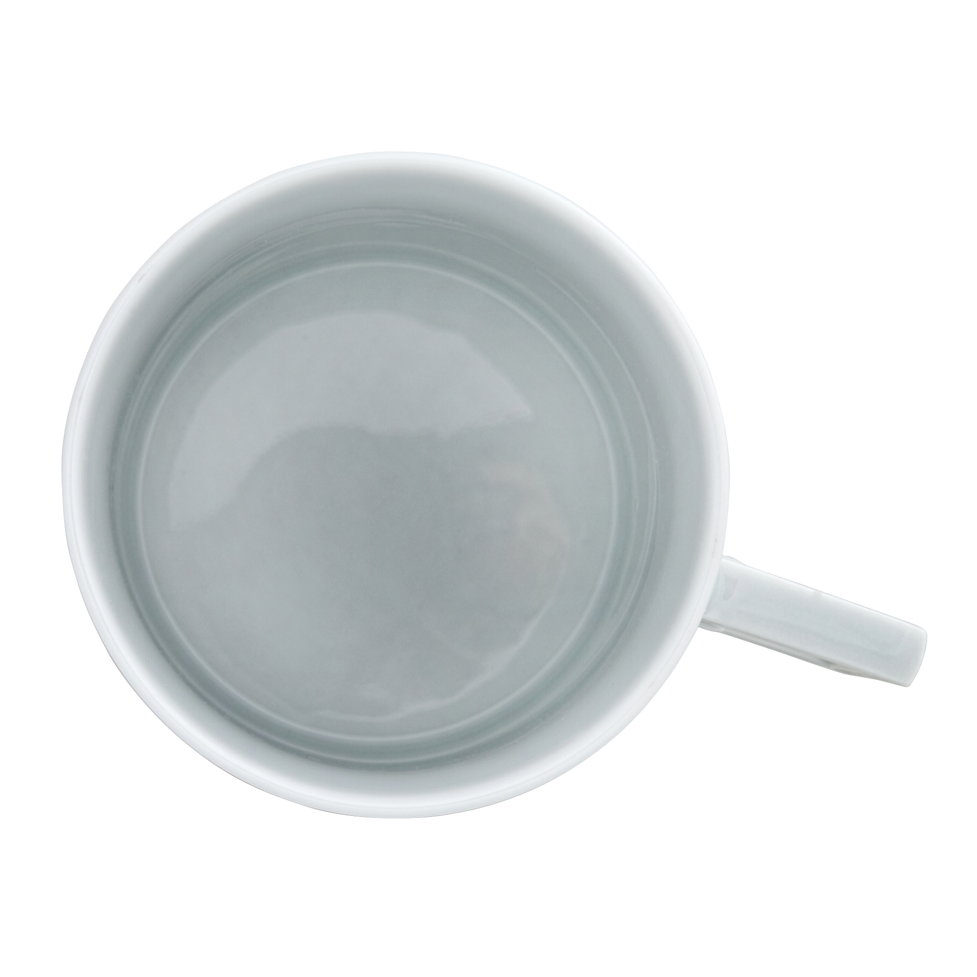 Terrace Birds 테라스 버드