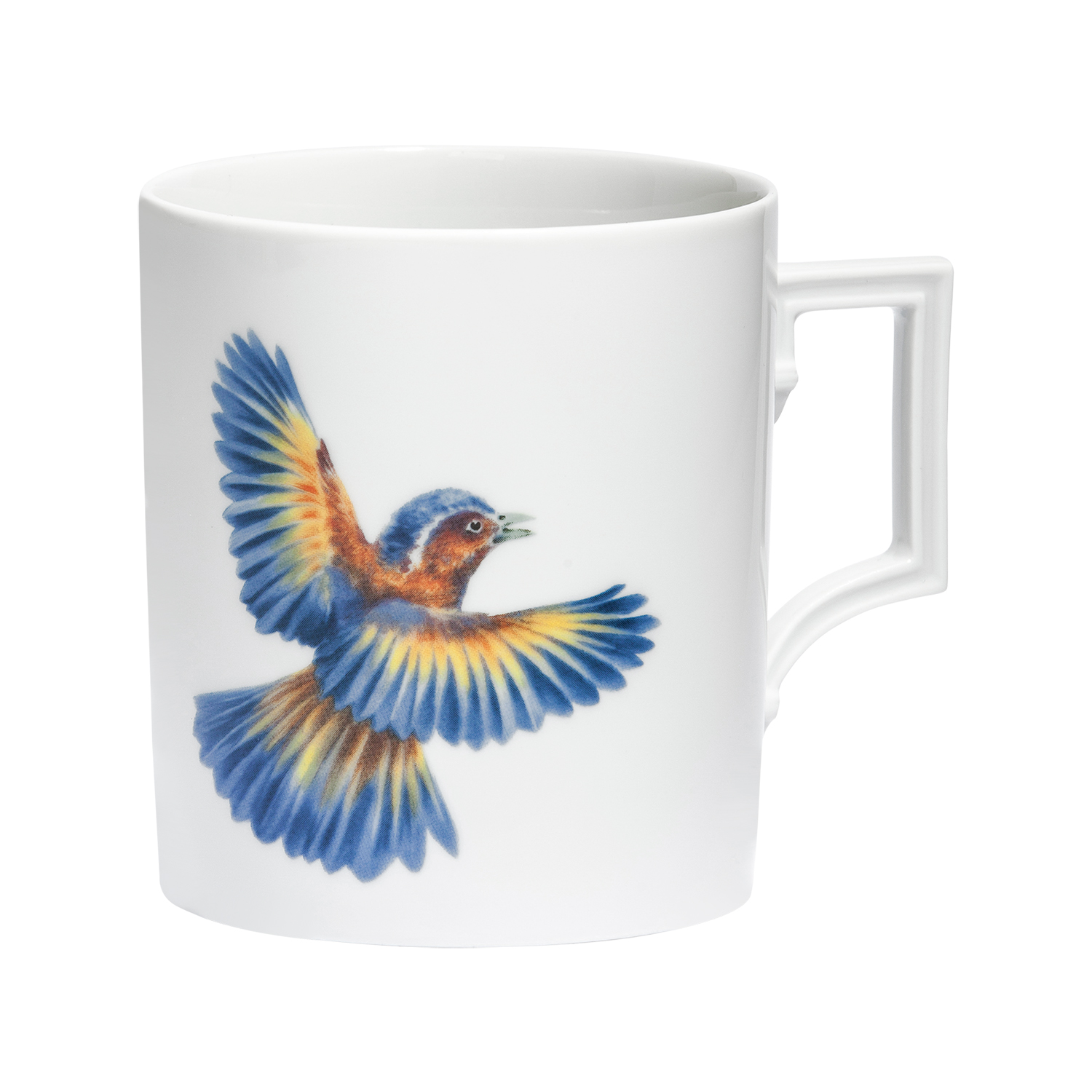 Flying Jewel 플라잉 쥬얼