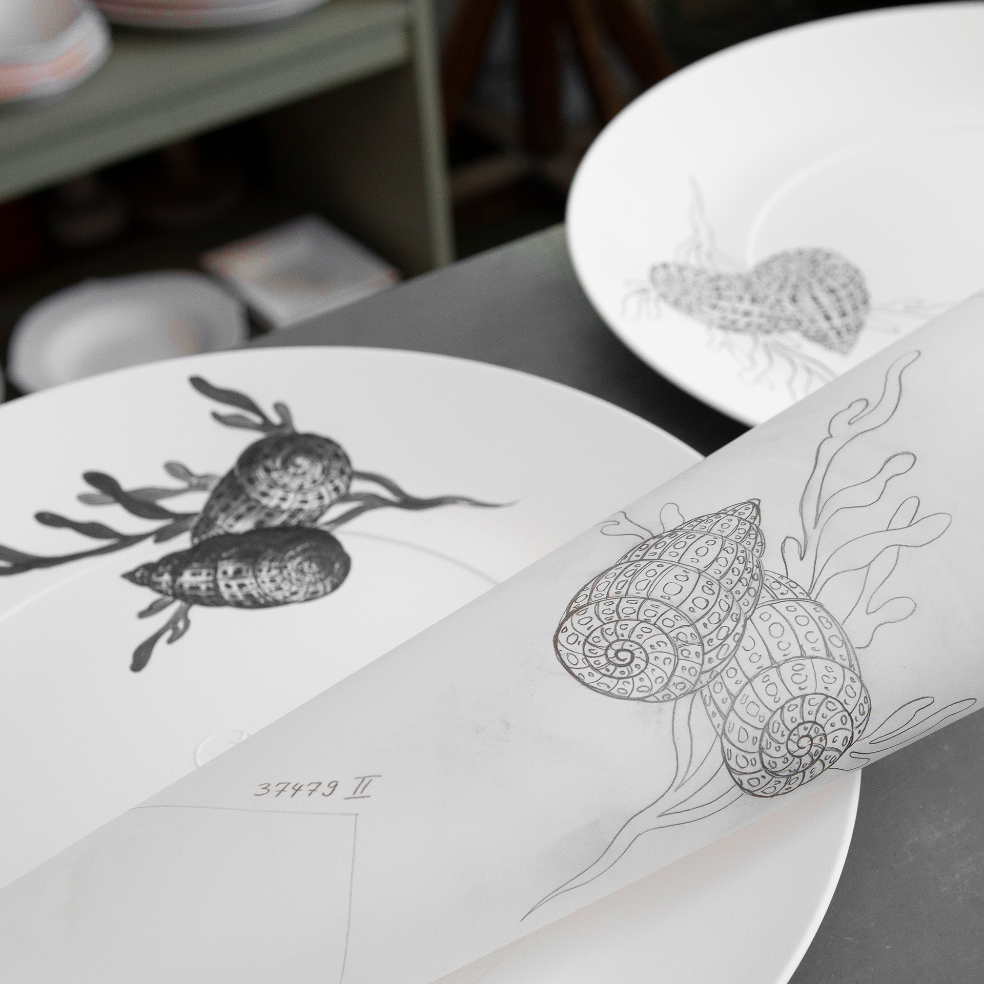 MEISSEN® COSMOPOLITAN BLUE TREASURES DINNER PLATE SEA SHELL