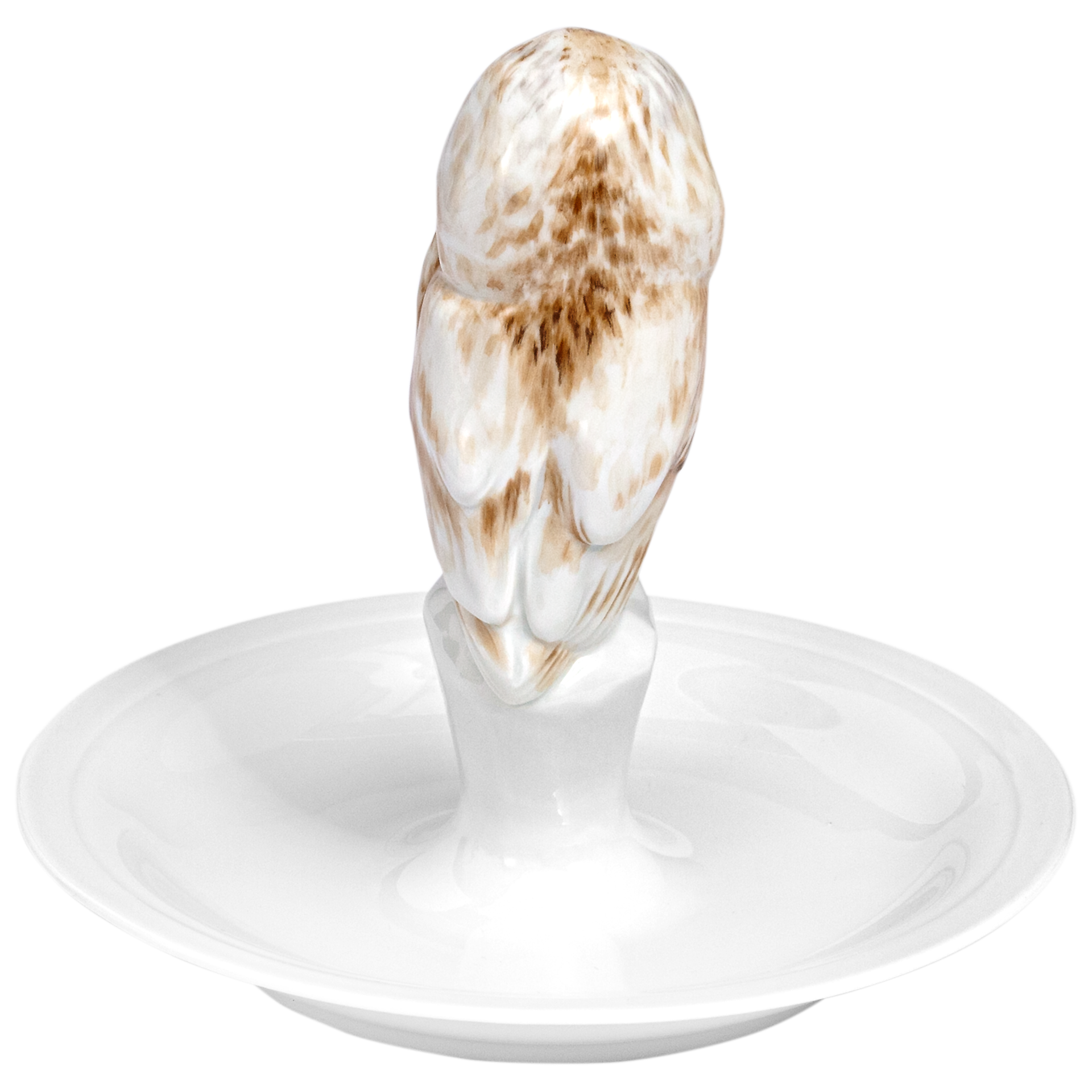 LIMITED EDITION 2021 OWL ON DISH