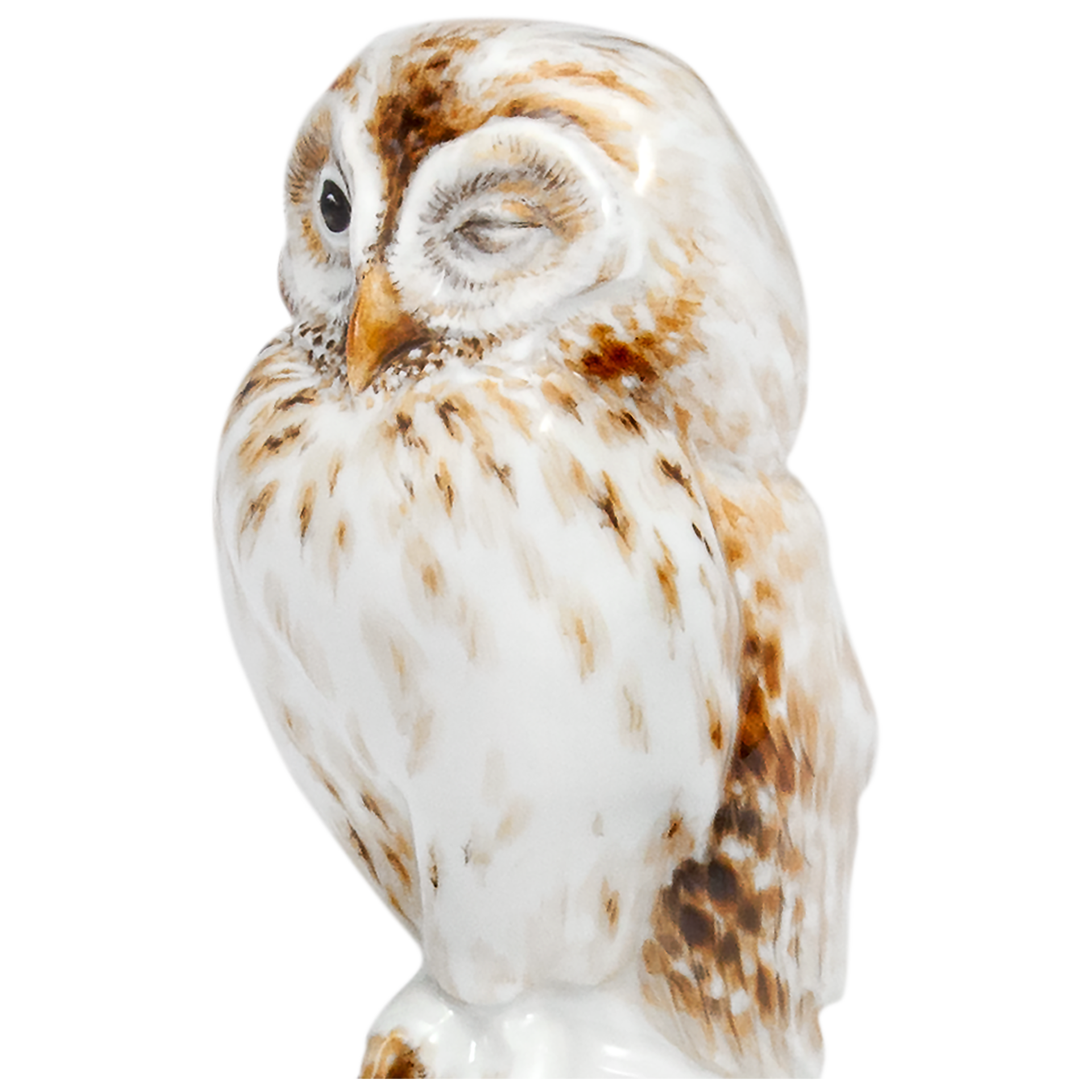 LIMITED EDITION 2021 OWL ON DISH