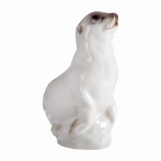 YOUNG ANIMALS YOUNG SEA DOG