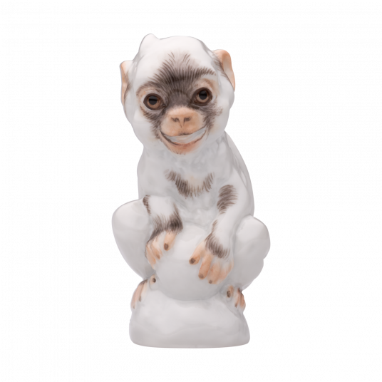 YOUNG ANIMALS YOUNG MONKEY