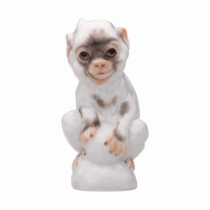 YOUNG ANIMALS YOUNG MONKEY