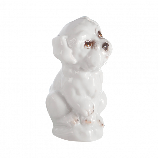 YOUNG ANIMALS DOG PUPPY