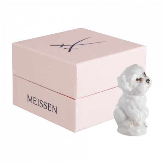 YOUNG ANIMALS DOG PUPPY