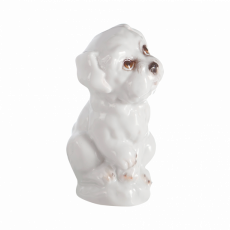 YOUNG ANIMALS DOG PUPPY