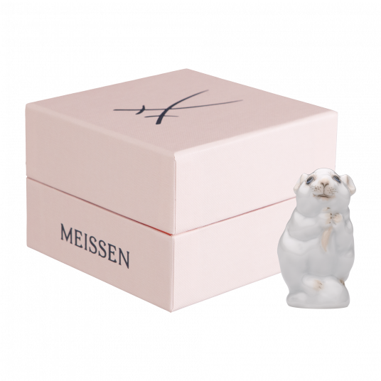 YOUNG ANIMALS MOUSE PUP