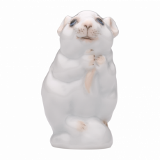 YOUNG ANIMALS MOUSE PUP