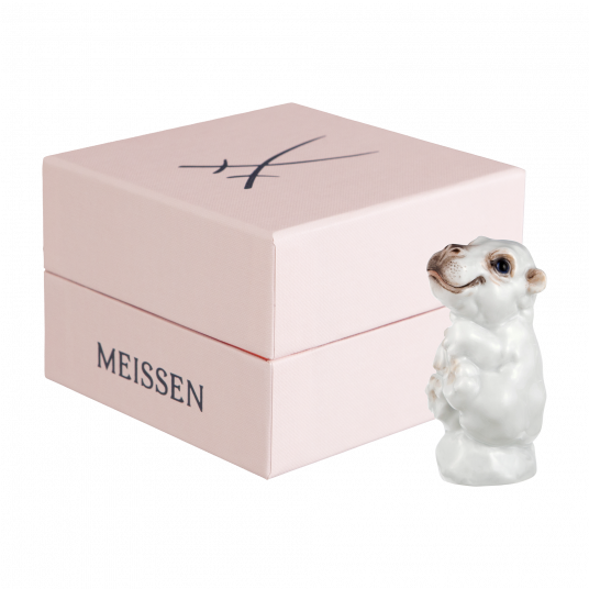 YOUNG ANIMALS HIPPOPOTAMUS BABY