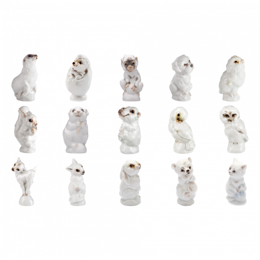 YOUNG ANIMALS HIPPOPOTAMUS BABY