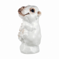 YOUNG ANIMALS HIPPOPOTAMUS BABY