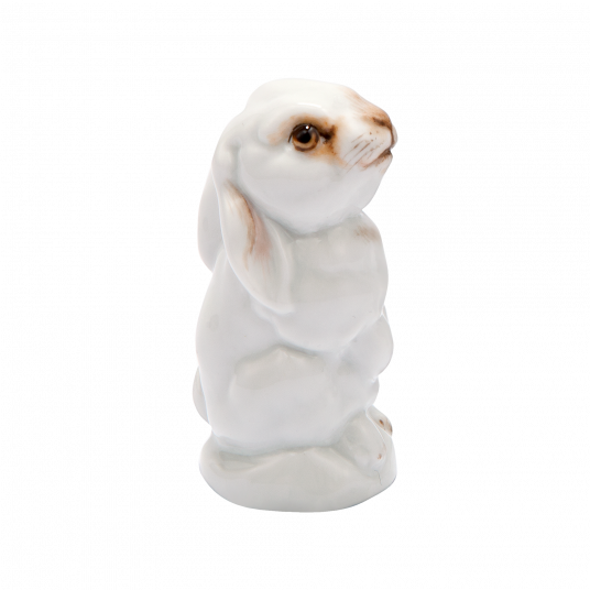 YOUNG ANIMALS LEVERET