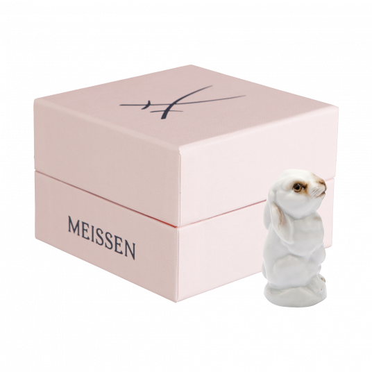 YOUNG ANIMALS LEVERET