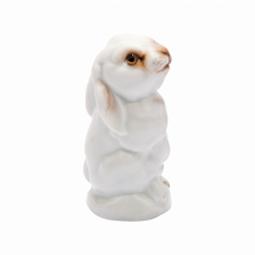 YOUNG ANIMALS LEVERET