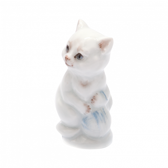 YOUNG ANIMALS KITTEN