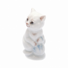 YOUNG ANIMALS KITTEN