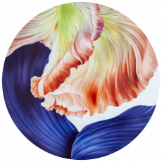 자이언트 블룸 장식 접시 50cm