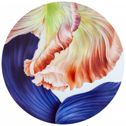 자이언트 블룸 장식 접시 50cm