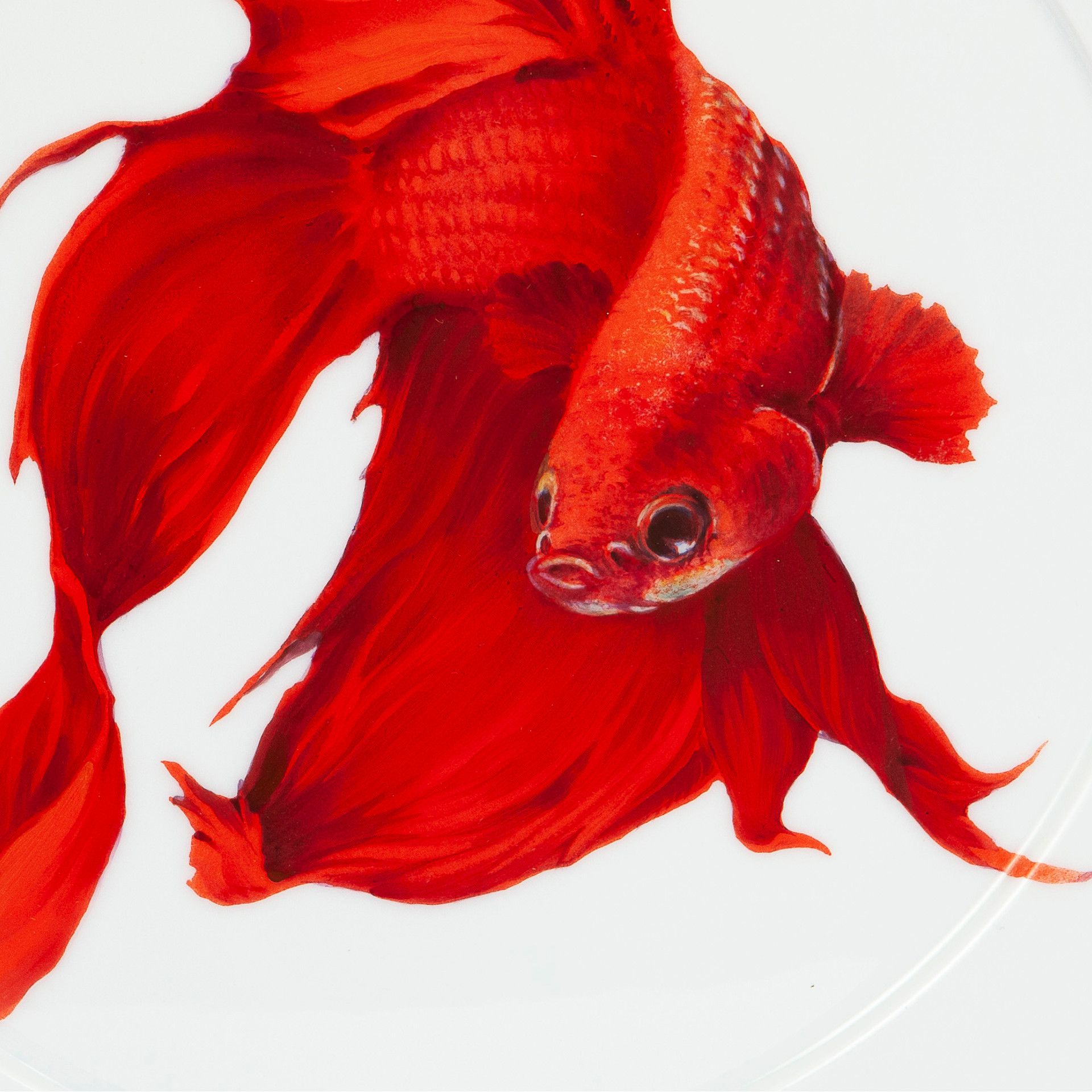 LIMITED EDITION 2021 WALL PLATE, SIAMESE FIGHTING FISH