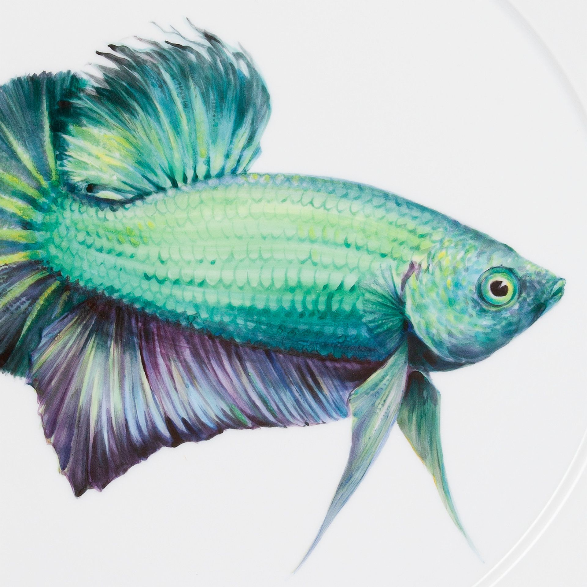 LIMITED EDITION 2021 WALL PLATE, GREEN FIGHTING FISH