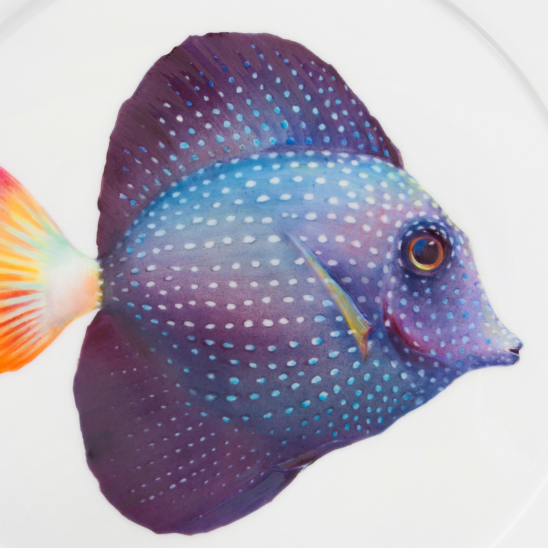 LIMITED EDITION 2021 WALL PLATE, MAURITIAN TANG