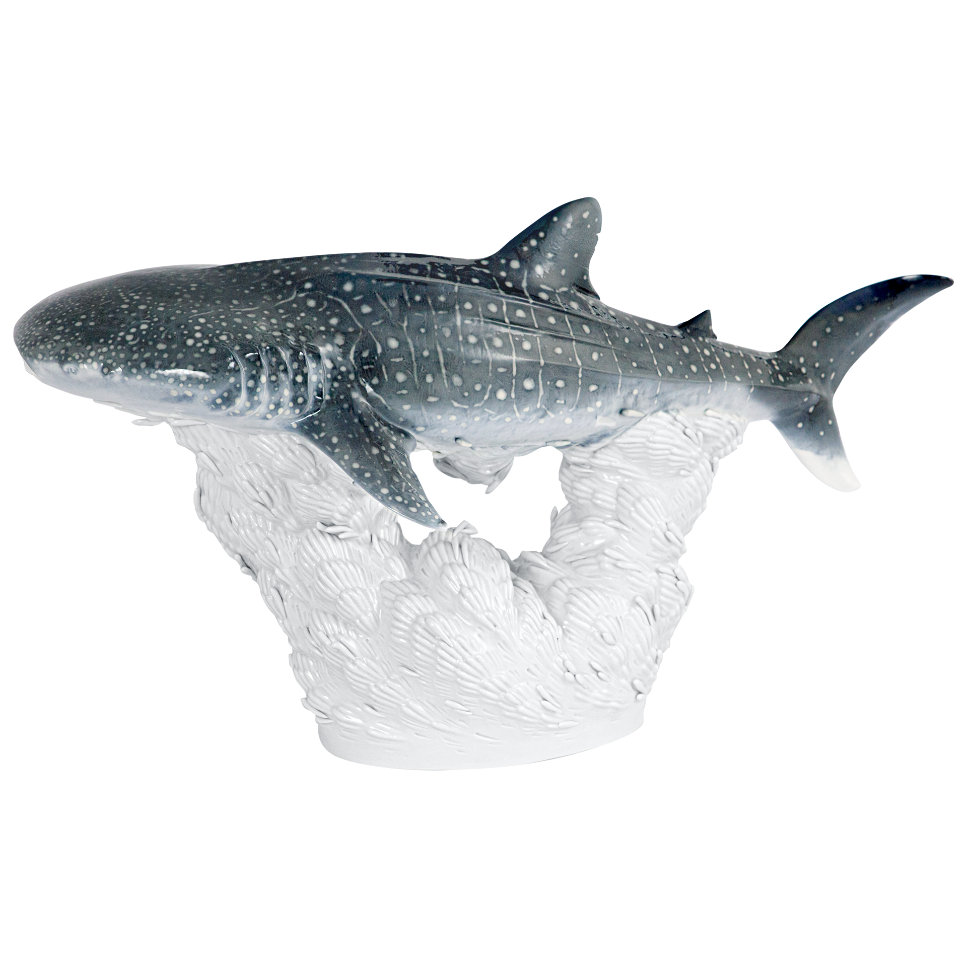 LIMITED MASTERWORKS 2021 WHALE SHARK