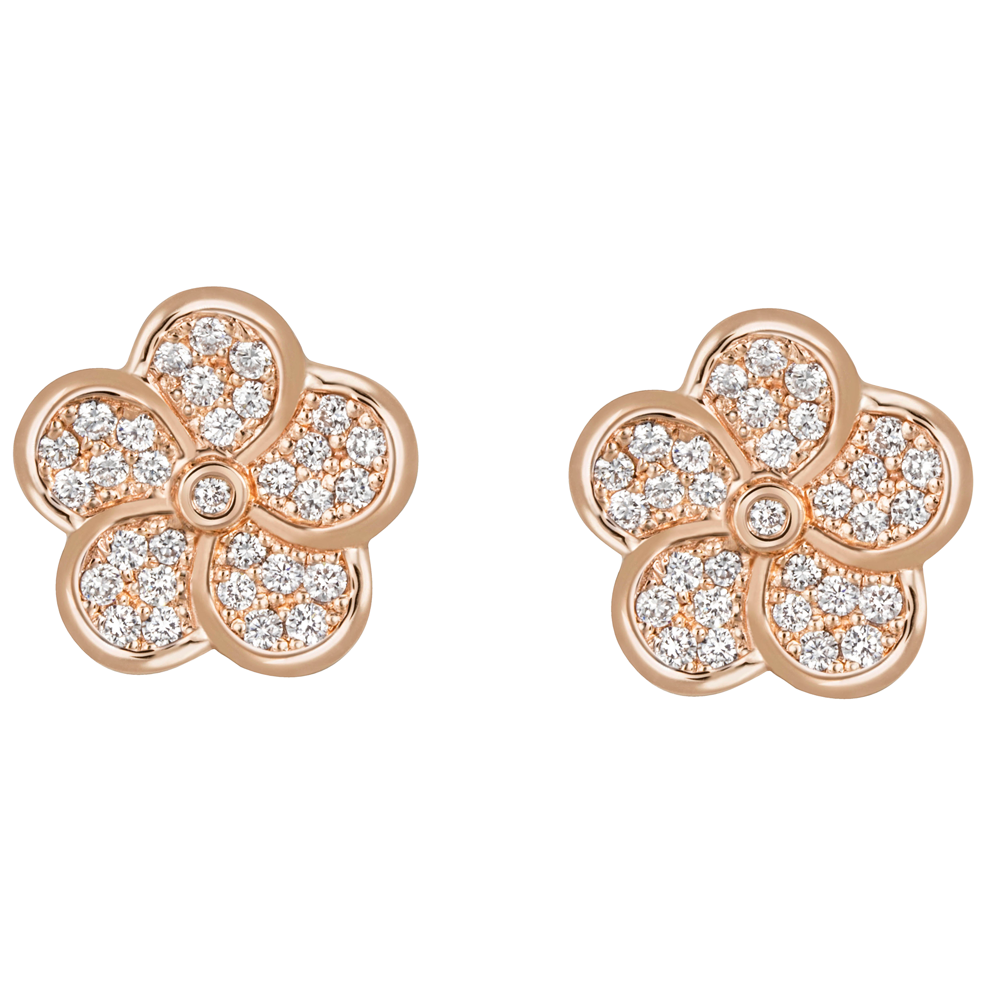 1739  페이브 귀걸이 (로즈골드)